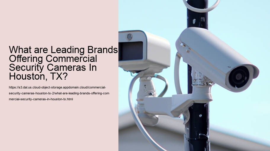 What are Leading Brands Offering Commercial Security Cameras In Houston, TX? 