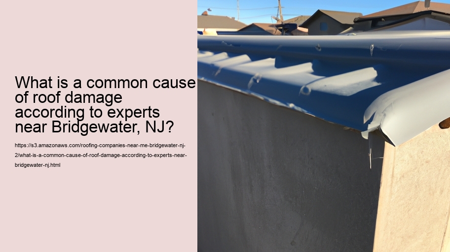 What is a common cause of roof damage according to experts near Bridgewater, NJ?  