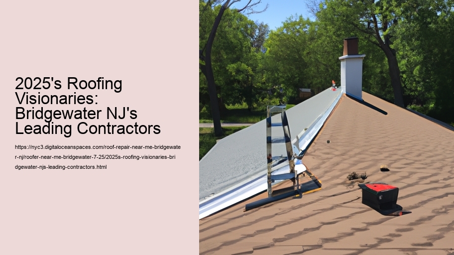 2025's Roofing Visionaries: Bridgewater NJ's Leading Contractors