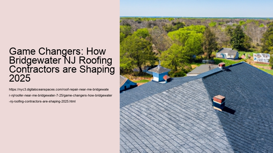 Game Changers: How Bridgewater NJ Roofing Contractors are Shaping 2025