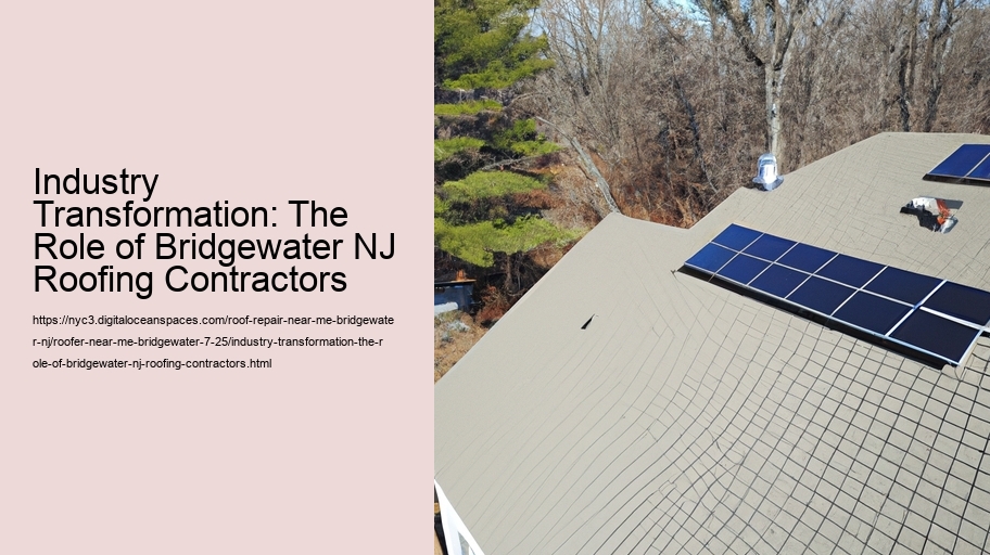 Industry Transformation: The Role of Bridgewater NJ Roofing Contractors