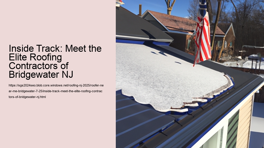 Inside Track: Meet the Elite Roofing Contractors of Bridgewater NJ