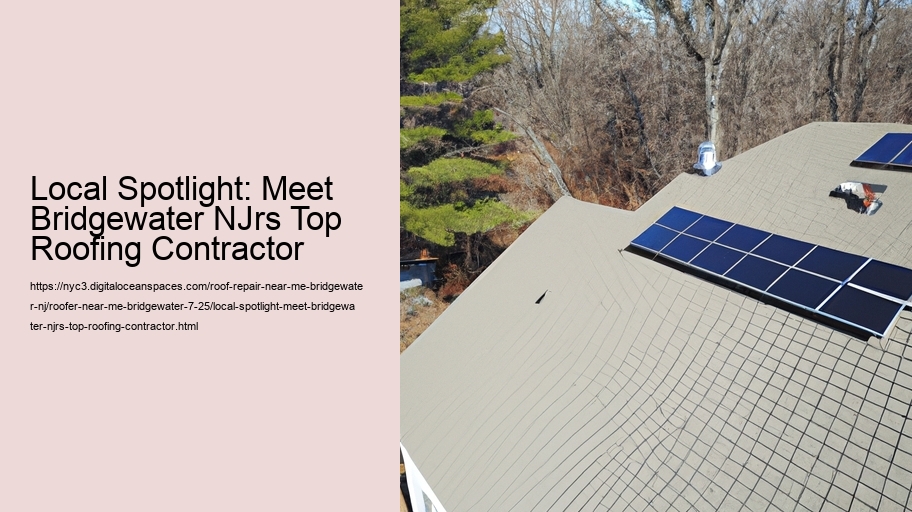 Local Spotlight: Meet Bridgewater NJrs Top Roofing Contractor