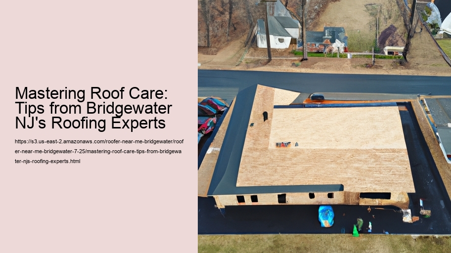 Mastering Roof Care: Tips from Bridgewater NJ's Roofing Experts