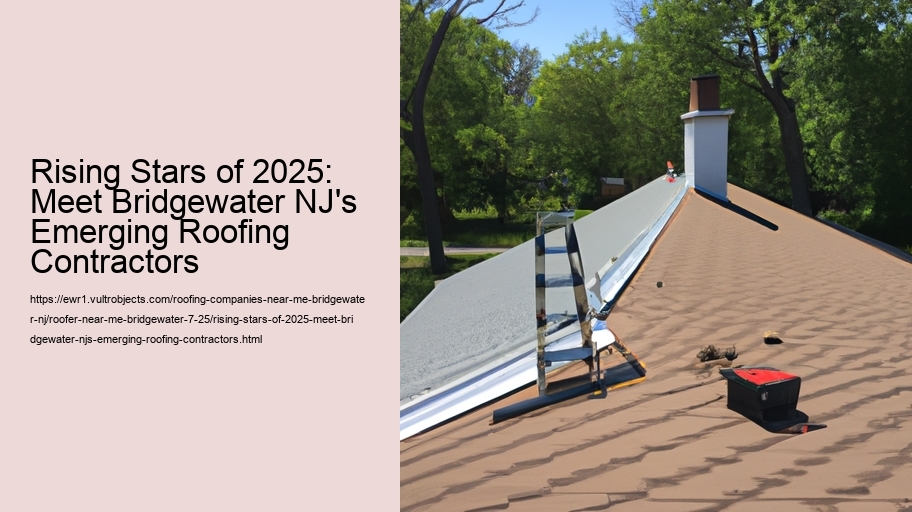 Rising Stars of 2025: Meet Bridgewater NJ's Emerging Roofing Contractors