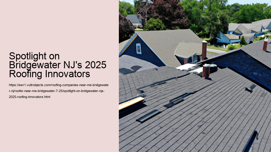 Spotlight on Bridgewater NJ's 2025 Roofing Innovators