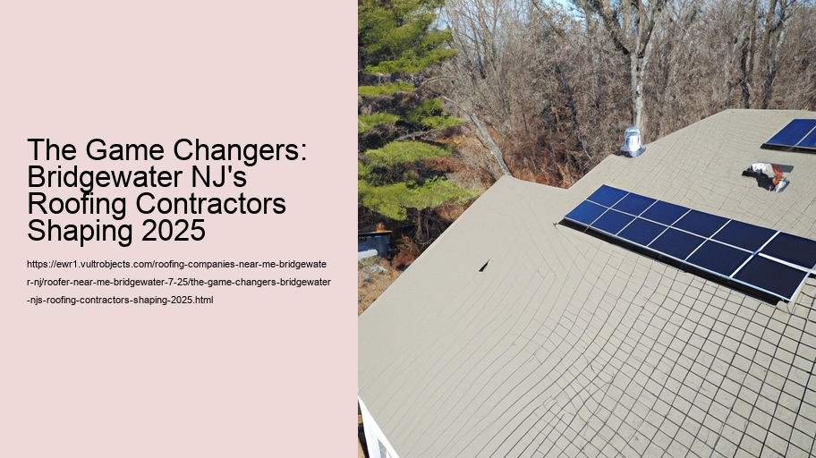 The Game Changers: Bridgewater NJ's Roofing Contractors Shaping 2025