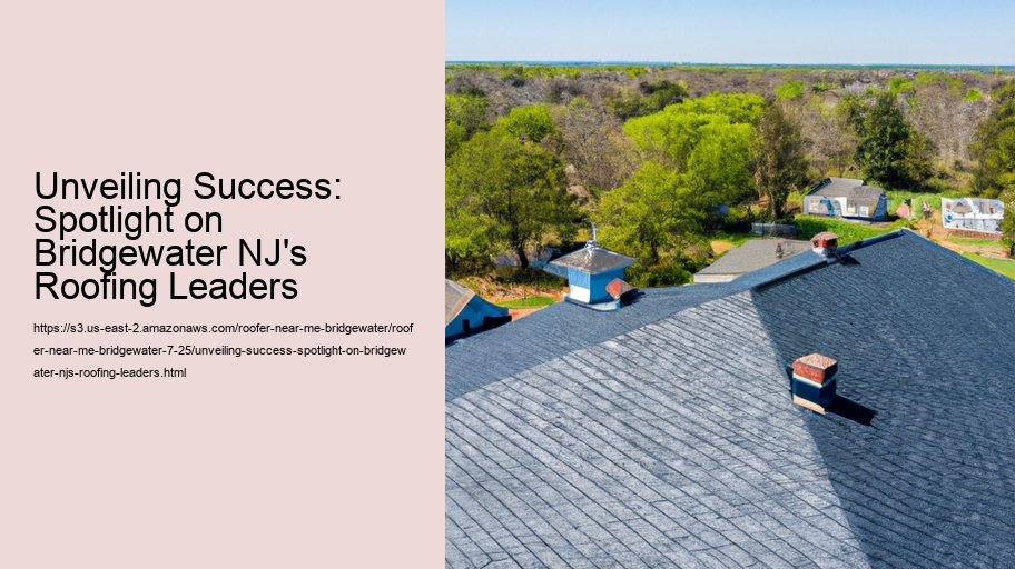 Unveiling Success: Spotlight on Bridgewater NJ's Roofing Leaders