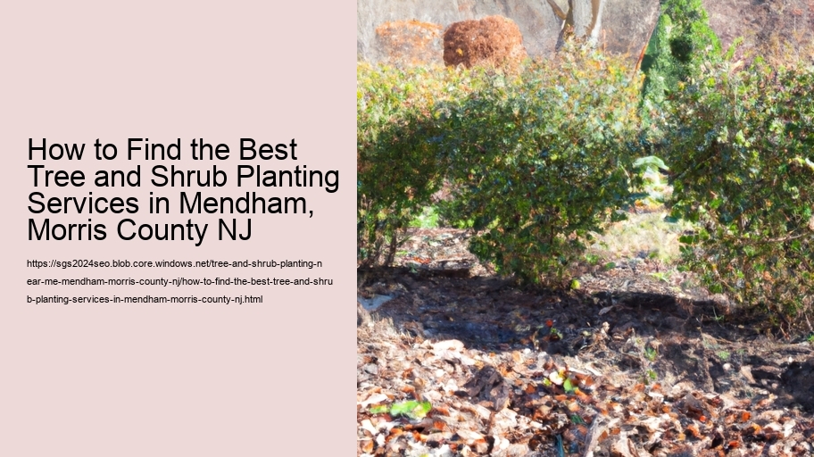How to Find the Best Tree and Shrub Planting Services in Mendham, Morris County NJ