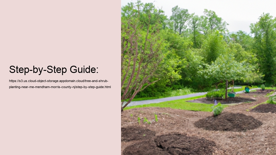 Step-by-Step Guide:
