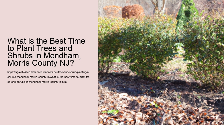 What is the Best Time to Plant Trees and Shrubs in Mendham, Morris County NJ?